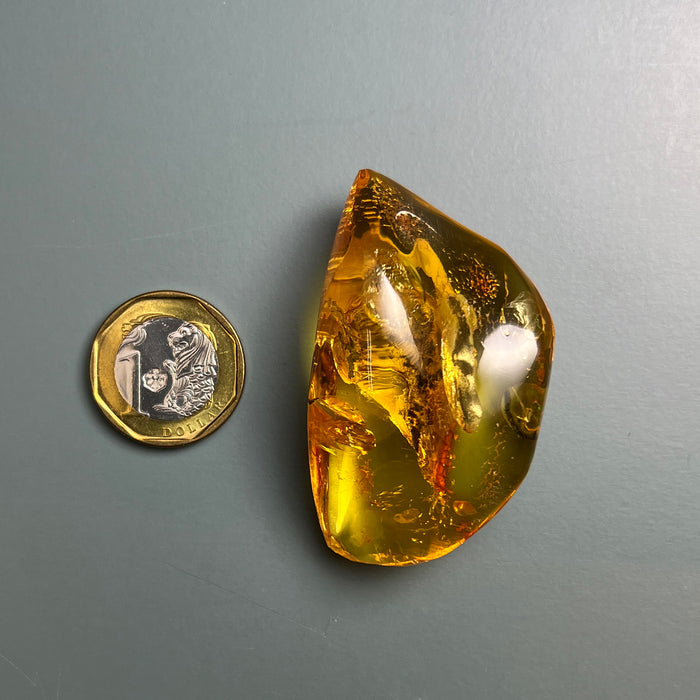 SE0485