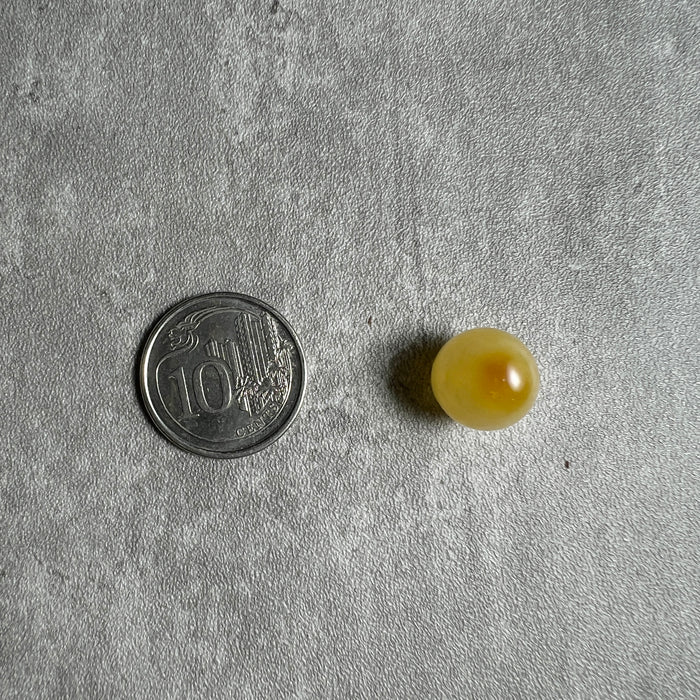BB0112