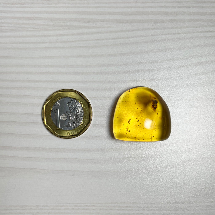 SE0435
