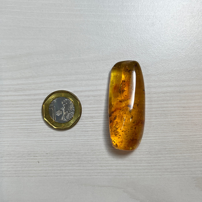 SE0438