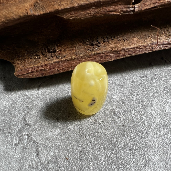 SE0049