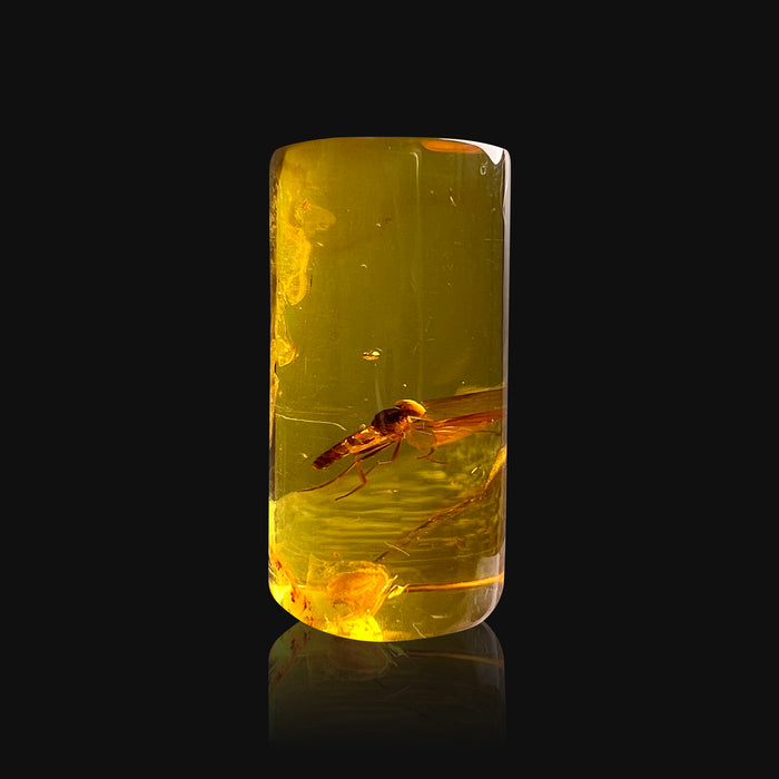 SE0110