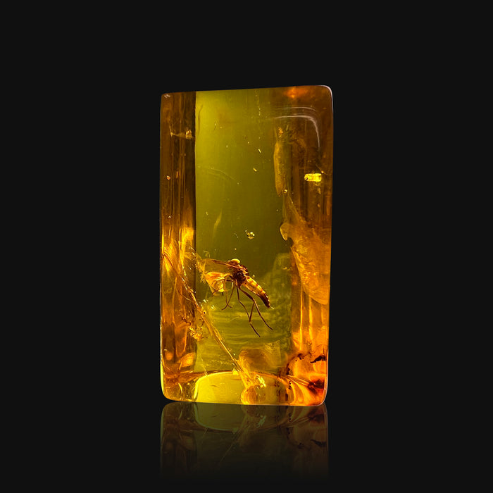 SE0110