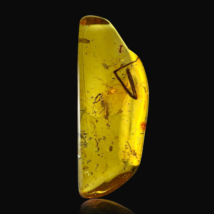 SE0362