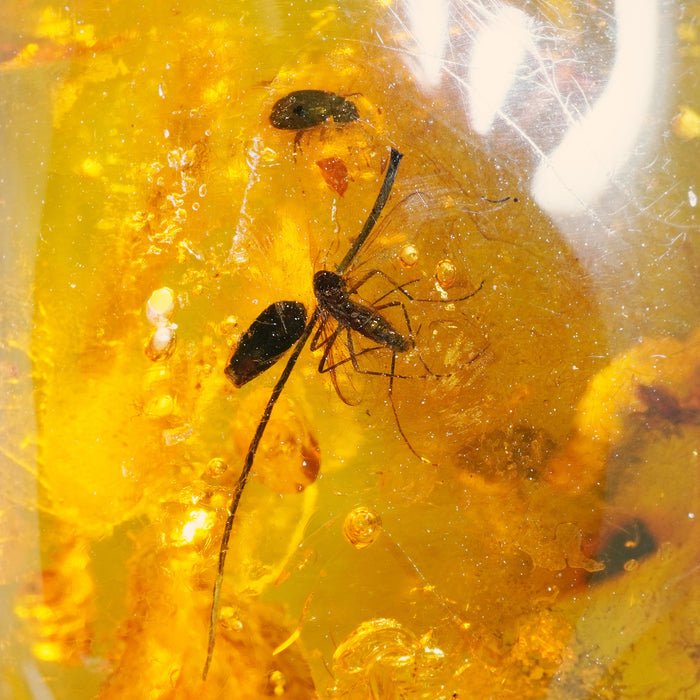SE0434