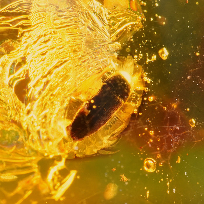 SE0436
