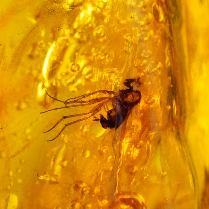 SE0438