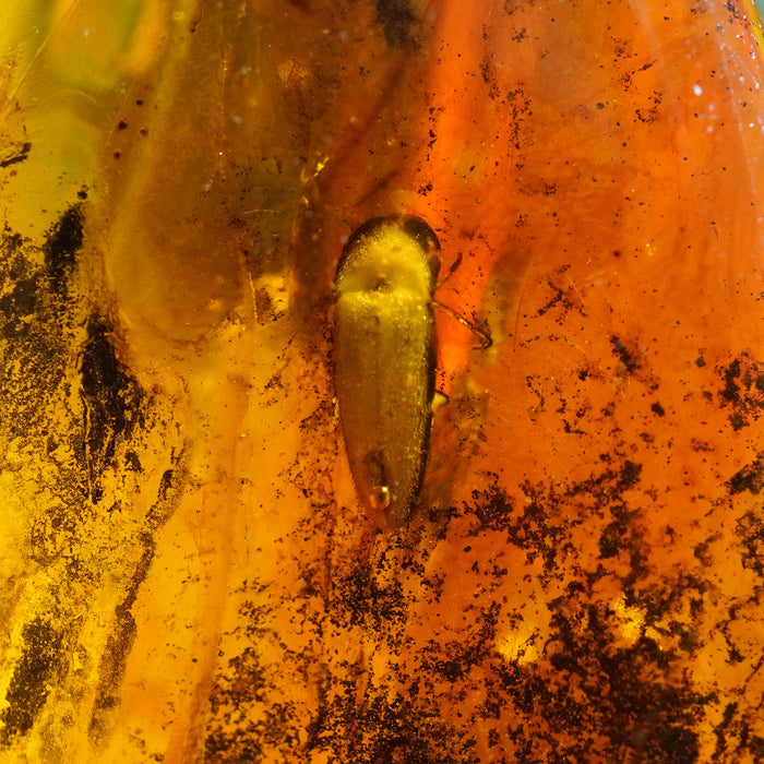 SE0439