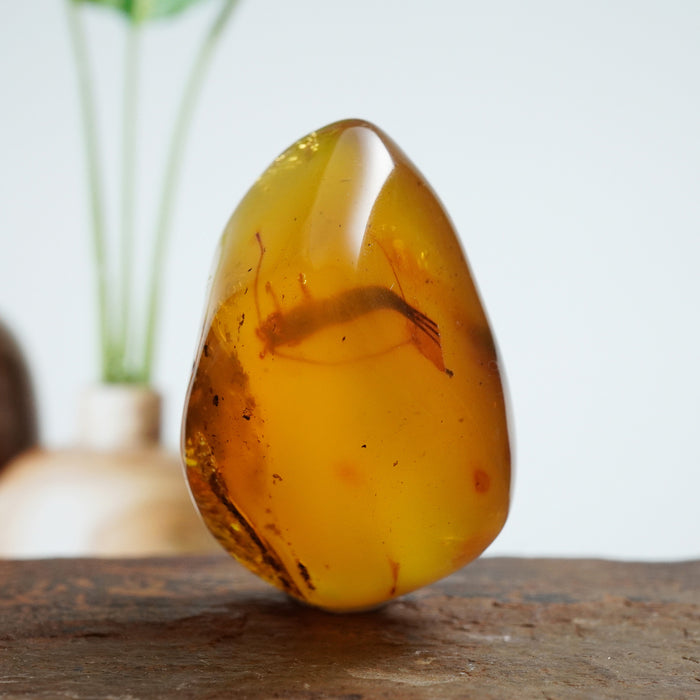SE0444Amber Raw with Insect Colour: Transparent Yellow with insect inclusion Dimension: mm Weight: g
