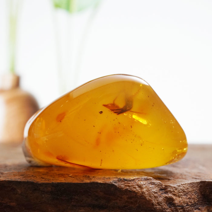 SE0444Amber Raw with Insect Colour: Transparent Yellow with insect inclusion Dimension: mm Weight: g