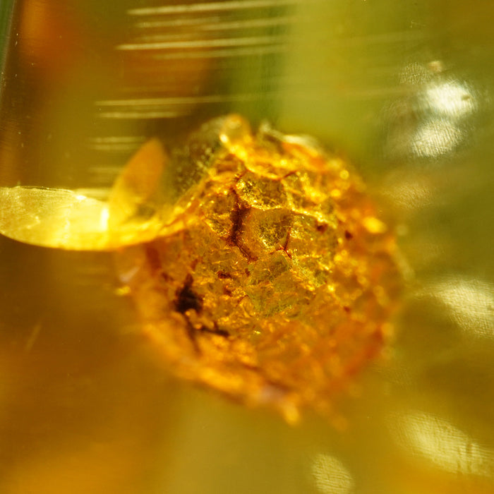 SE0471