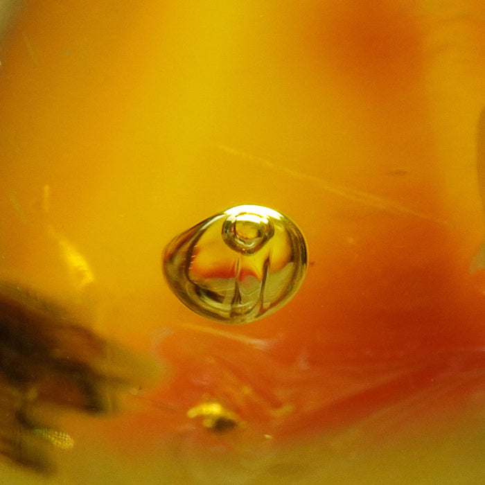 SE0480