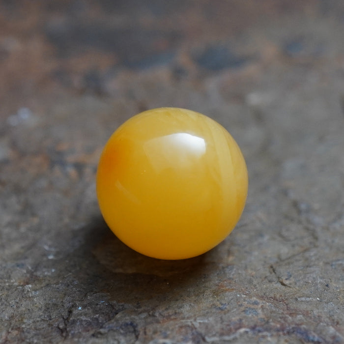 SE0591
